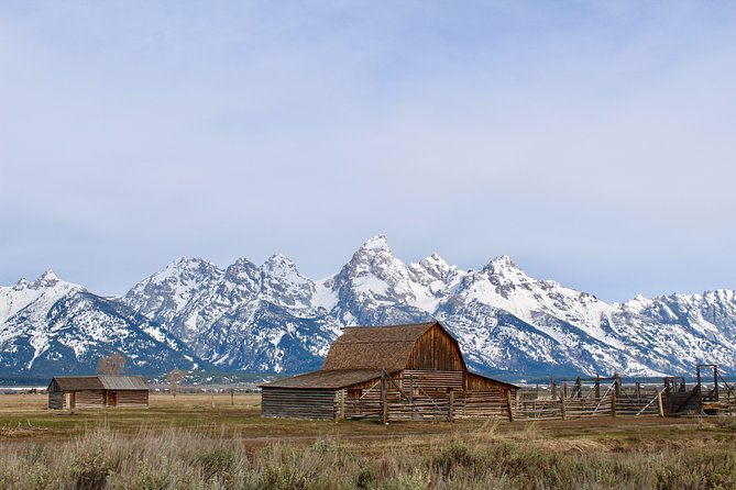 Grand Teton Half Day Tour - Key highlights you should care about