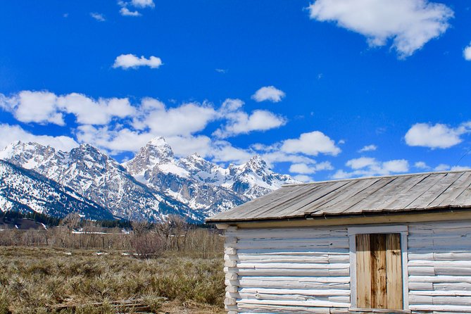 Grand Teton Half Day Tour - The naturalist guide effect, from Luke to Joe to Shane