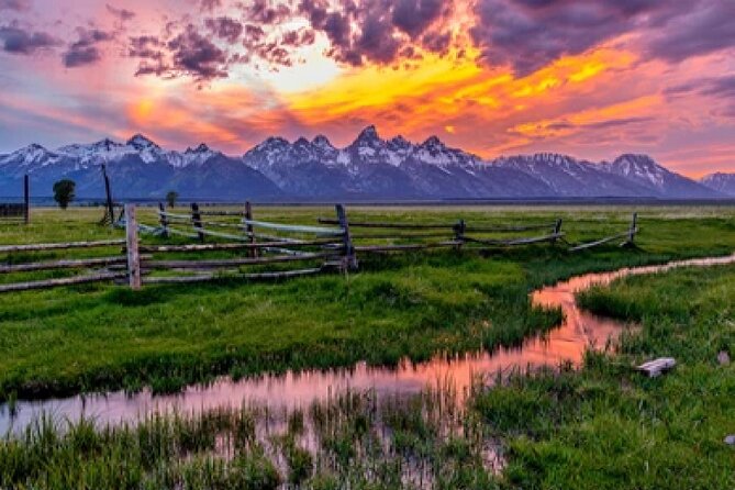 Grand Teton Wildlife Safari in a Enclosed or Open-Air Vehicle (season dependent) - Key Points You’ll Actually Care About