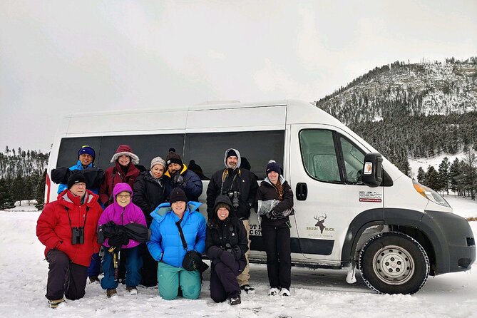 Grand Teton Wildlife Safari in a Enclosed or Open-Air Vehicle (season dependent) - Entering Grand Teton: Where You Start and How You Ride