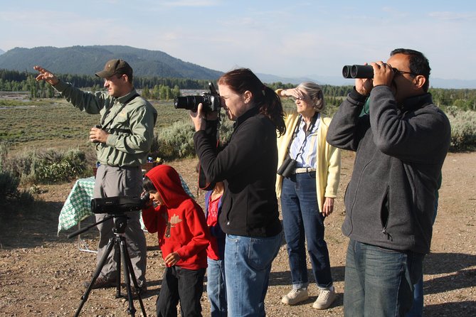Grand Teton Wildlife Safari in a Enclosed or Open-Air Vehicle (season dependent) - Best Fit: Who This Safari Works For
