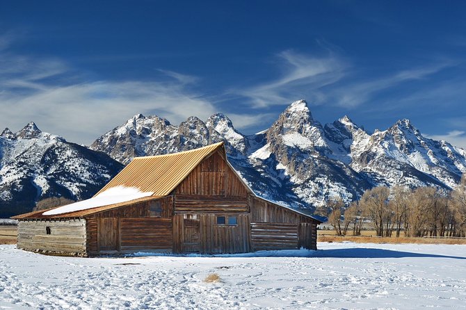 Grand Teton Wildlife Safari in a Enclosed or Open-Air Vehicle (season dependent) - Quick Decision: Should You Book This Grand Teton Safari?