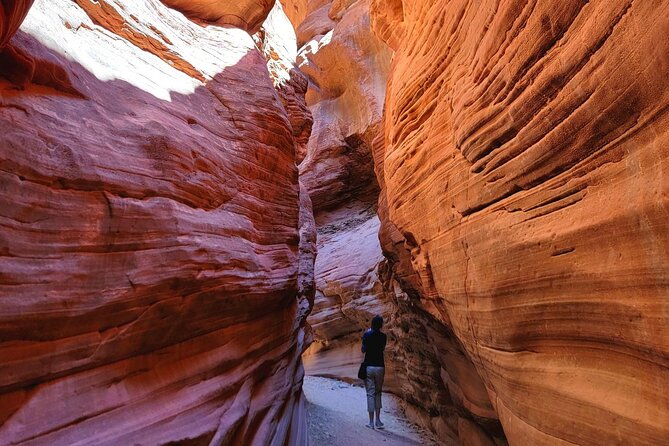 Great Chamber/Peekaboo Slot Canyon UTV Tour 4hrs - How this UTV combo works (and why it feels safer)