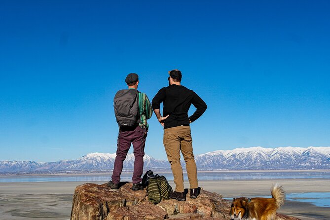 Great Salt Lake Wildlife Experience - Comfort and Small-Group Value: What $145 Buys You