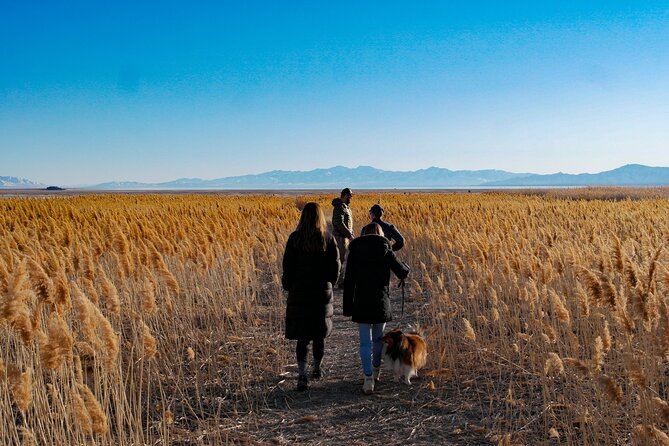 Great Salt Lake Wildlife Experience - Your Guide Experience: What I Would Look For