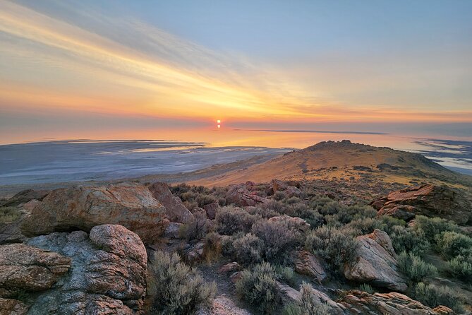 Great Salt Lake Wildlife Experience - Wildlife Time on Antelope Island: What You Can Expect to See
