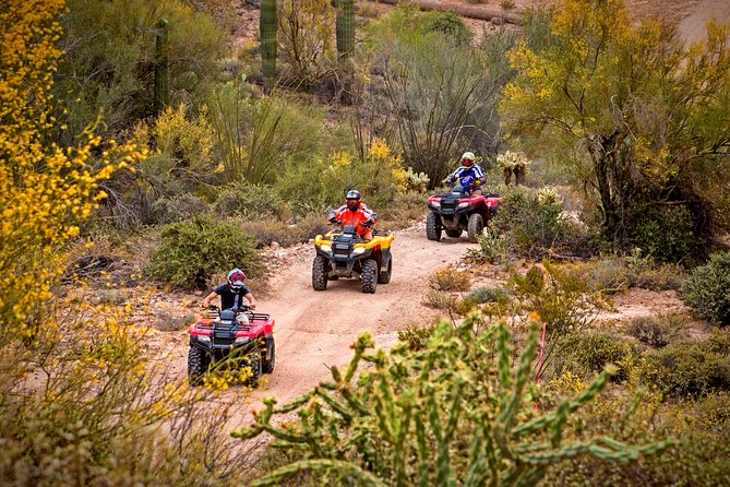 Guided Arizona Desert Tour by ATV - Centipede Tour - Key Points You’ll Feel on the Ride