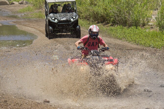 Guided Arizona Desert Tour by ATV - Centipede Tour - What the Price Covers, and What It Really Costs You
