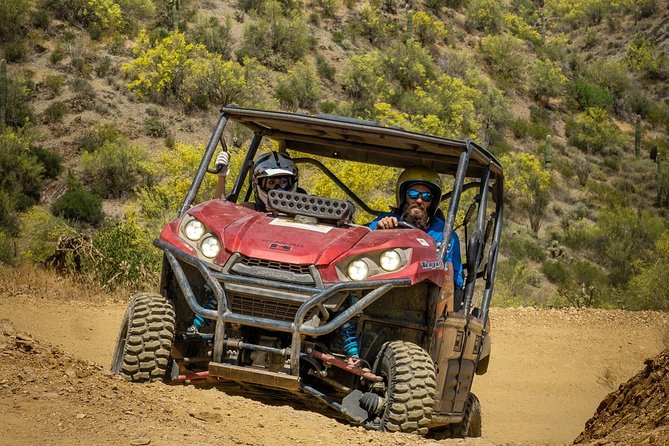 Guided Arizona Desert Tour by UTV - Centipede Tour - Desert Wildlife Stops: Coyotes, Bobcats, and the Possibility of Rattlesnakes