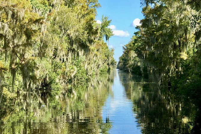 Guided Boat Tour of New Orleans Bayou - Photo moments and the gator feeding factor