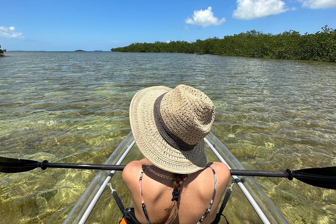 Guided Clear Kayak Eco-Tour Near Key West - Key things that make this clear-kayak tour special