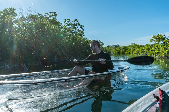Guided Clear Kayak Eco-Tour Near Key West - What to bring, what’s included, and how to feel good on the water