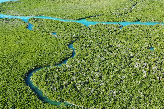 Guided Clear Kayak Eco-Tour Near Key West - When tide and wind get tricky: how to plan for the best conditions