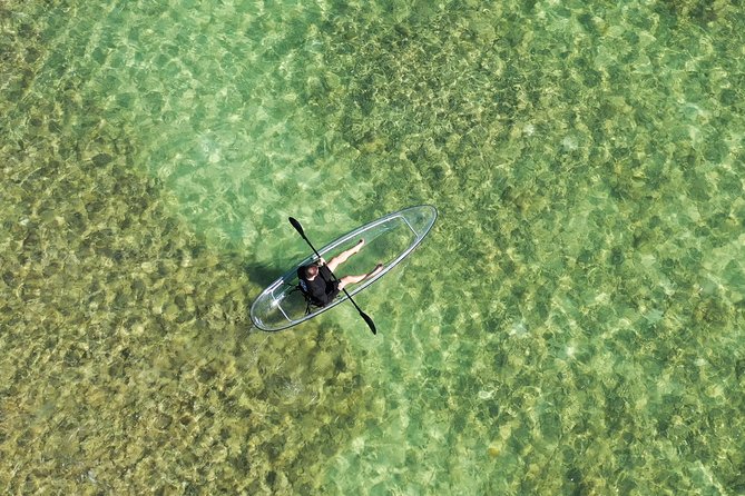 Guided Clear Kayak Eco-Tour Near Key West - Florida Keys National Marine Sanctuary time: look-down wildlife