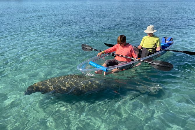 Guided Clear Kayak Eco-Tour of Jupiter - Key Things I’d Put On Your Radar