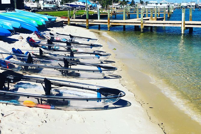 Guided Clear Kayak Eco-Tour of Jupiter - What the Clear Kayak Actually Teaches You About Wildlife