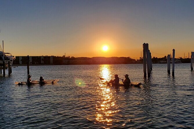 Guided Clear Kayak Eco-Tour of Jupiter - Season, Sun, and Motion: How Conditions Affect Your Experience
