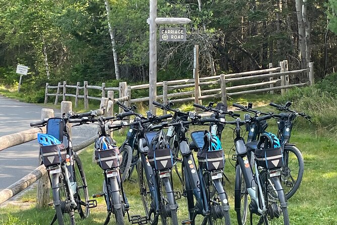 Guided Ebike Tour of Acadia National Park Carriage Roads - Paradise Hill to Duck Brook Bridge: views first, then beavers
