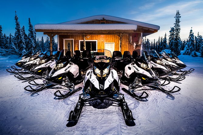 Guided Fairbanks Snowmobile Tour - Ski Doo Touring Snowmobiles, Heated Comfort, and Real-World Handling