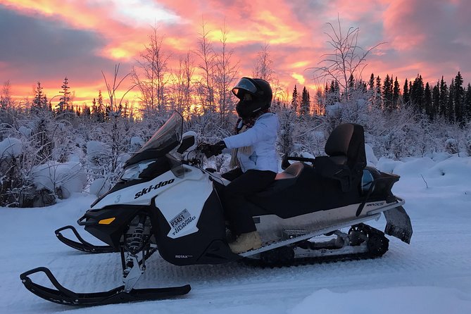 Guided Fairbanks Snowmobile Tour - Meeting the Right Pace: What the Guide Adjusts for You