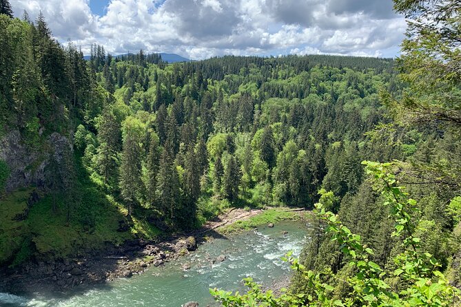 Guided forest hike to Seattle waterfalls incl. Snoqualmie Falls - How the logging towns of Snoqualmie and North Bend add meaning