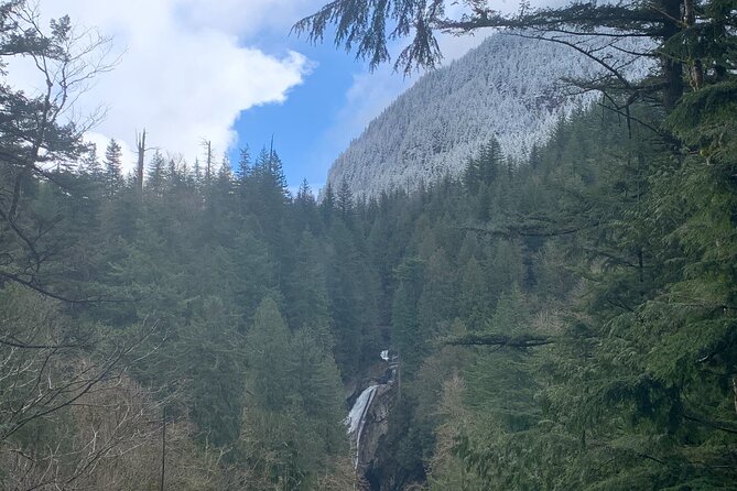 Guided forest hike to Seattle waterfalls incl. Snoqualmie Falls - Pace and timing: what the 4.5 hours feels like in real life