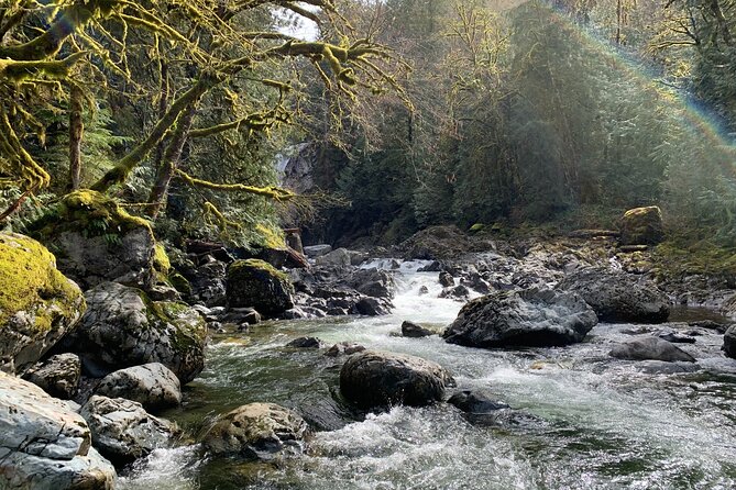 Guided forest hike to Seattle waterfalls incl. Snoqualmie Falls - Guides make or break this kind of day