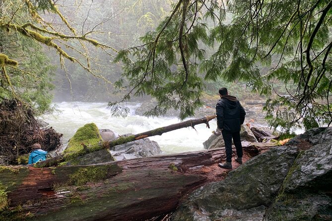 Guided forest hike to Seattle waterfalls incl. Snoqualmie Falls - Stop 1: Snoqualmie Falls platforms, Snoqualmie’s rail relics, and Borst Lake reflections