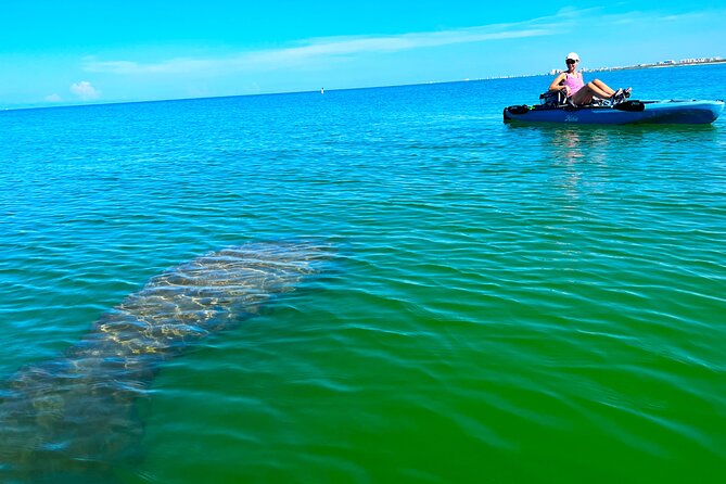 Guided Hobie Kayak EcoTour: Premium Eco Experience Bonita Springs - Key Highlights Worth Booking