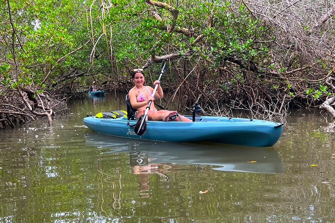 Guided Hobie Kayak EcoTour: Premium Eco Experience Bonita Springs - The Shelling Beach Stop: The Main Reason to Book