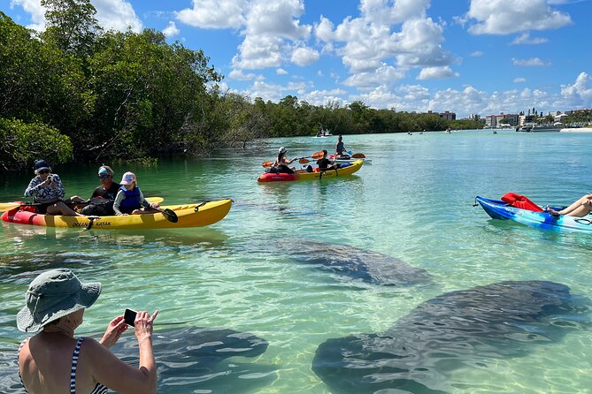 Guided Island EcoTour: CLEAR/Standard Kayak, SUP - Bonita Springs - Key things that make this Paddle Naples tour worth your time