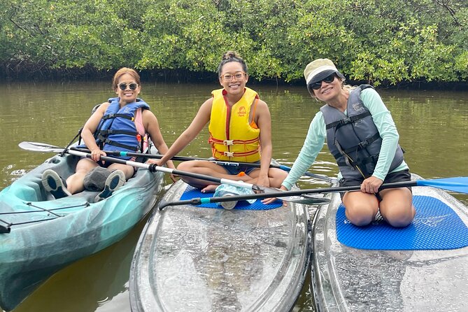 Guided Island EcoTour: CLEAR/Standard Kayak, SUP - Bonita Springs - Mangroves, birds, dolphins, and manatees: what you can realistically hope to see