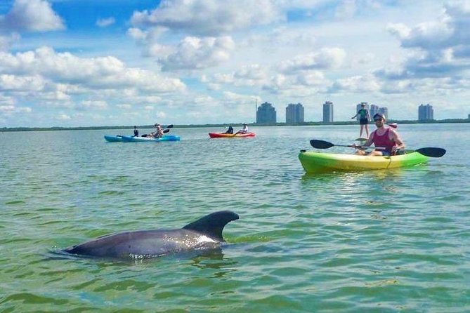 Guided Island EcoTour: CLEAR/Standard Kayak, SUP - Bonita Springs - CLEAR vs standard kayak vs SUP: picking the right setup (and booking correctly)