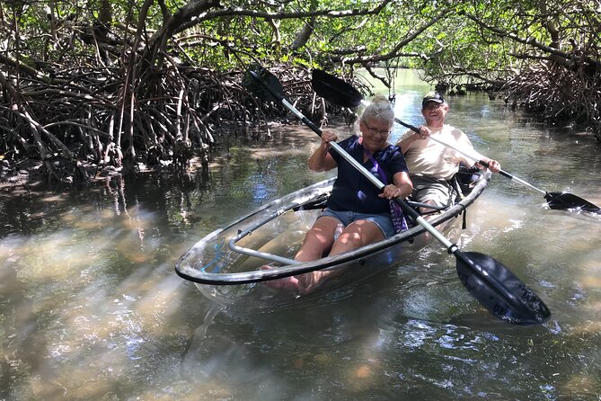 Guided Island EcoTour: CLEAR/Standard Kayak, SUP - Bonita Springs - Routes are flexible: mangrove tunnel time can change with wind and tide