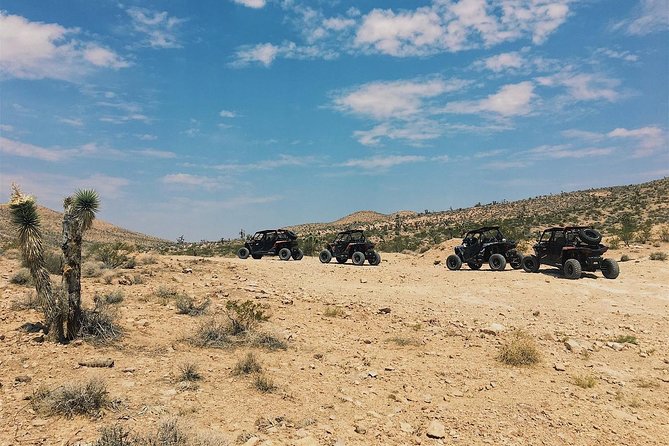 Guided Mojave Desert Off Road RZR Adventure - Stop 2: Sandy Valley for Joshua trees and rock formations