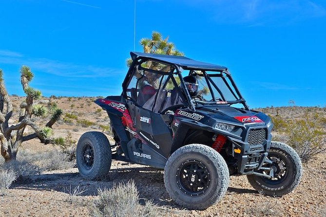 Guided Mojave Desert Off Road RZR Adventure - Pickup from the Strip: where to find your team and why it matters