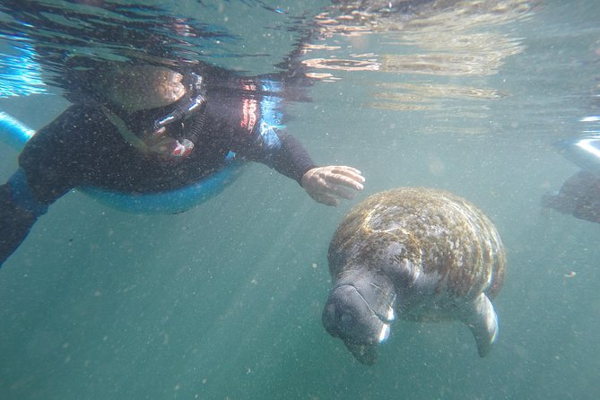 Guided Small Group Manatee Snorkeling Tour with In-Water Photographer - Key things to know before you go