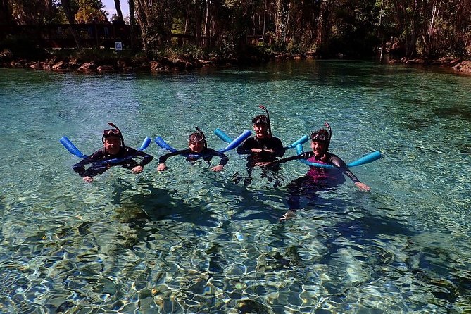 Guided Small Group Manatee Snorkeling Tour with In-Water Photographer - Gear up at the meeting shop, then get your bearings fast