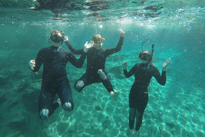 Guided Small Group Manatee Snorkeling Tour with In-Water Photographer - The boat ride: how spotting works without feeling like a cattle boat