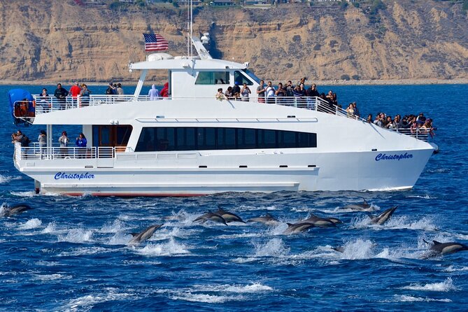 Guided Whale Watching Tour from Long Beach - Is $35 a Smart Value for a Long Beach Whale Watch?