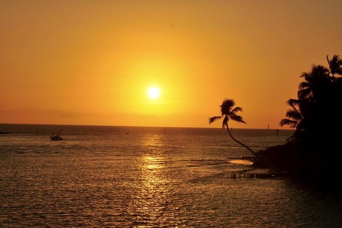 Gulf of Mexico Sunset Cruise from Naples - Key things that make this cruise worth your time
