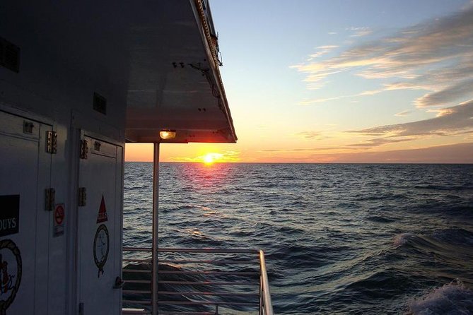 Gulf of Mexico Sunset Cruise from Naples - Keewaydin Island, wildlife odds, and the dolphin moment you hope for