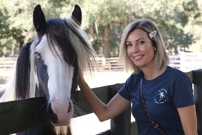 Gypsy Gold Horse Farm Tour - A walk through paddocks under old oaks and Spanish moss