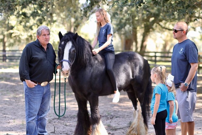 Gypsy Gold Horse Farm Tour - The Gypsy Gold gift shop stop