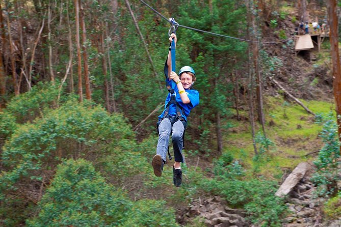 Haleakala 6 Line Zipline Adventure - Haleakala Zipline, what makes it feel different from the usual Maui zip