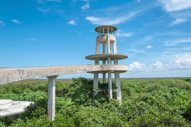 Half-day Everglades National Park Tour and 1-Hour Air Boat Ride - Key highlights you’ll care about