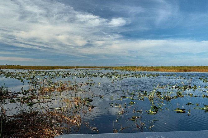 Half-day Everglades National Park Tour and 1-Hour Air Boat Ride - Tamiami Trail scenic driving: the Everglades seen from the road