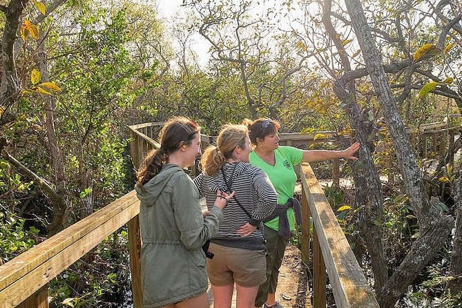 Half-day Everglades National Park Tour and 1-Hour Air Boat Ride - Price and value: why $189 can feel fair, or tight