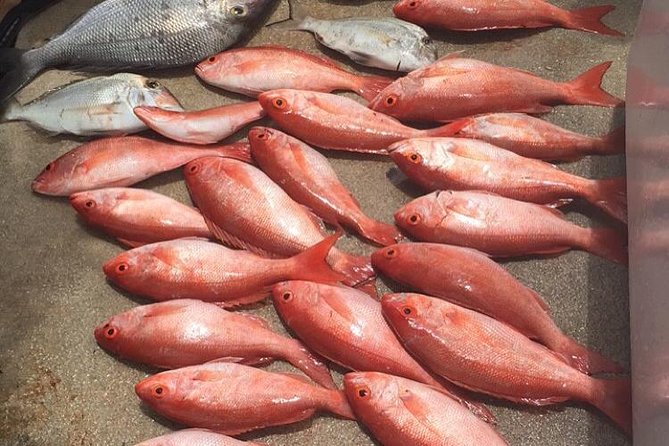 Half-Day Fishing Trip in Fort Lauderdale - What fishing looks like out on the water
