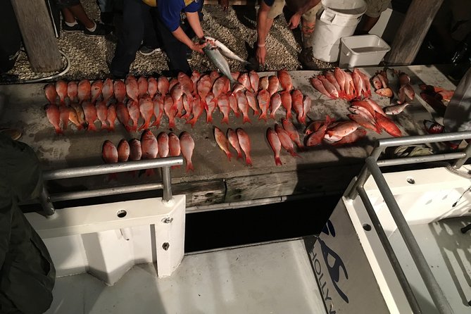 Half-Day Fishing Trip in Fort Lauderdale - Price and value: what $73 actually covers